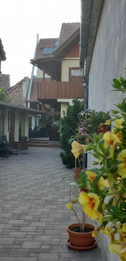 Pensiunea Cocosul Rosu Hermannstadt Exterior foto