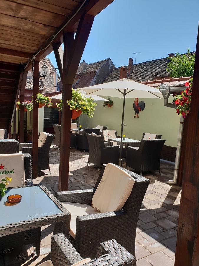 Pensiunea Cocosul Rosu Hermannstadt Exterior foto